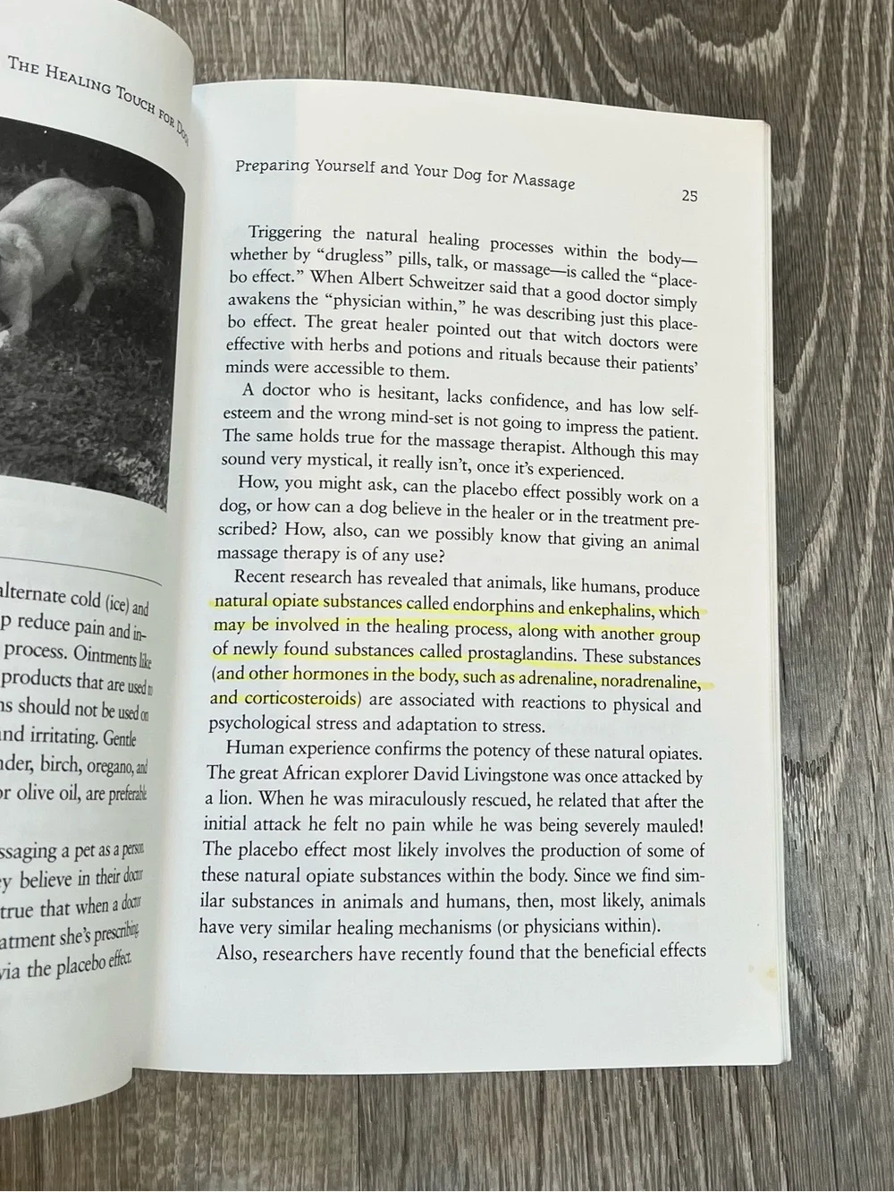 The Healing Touch of Dogs Proven Massage Program Paperback Book Michael J. Fox
